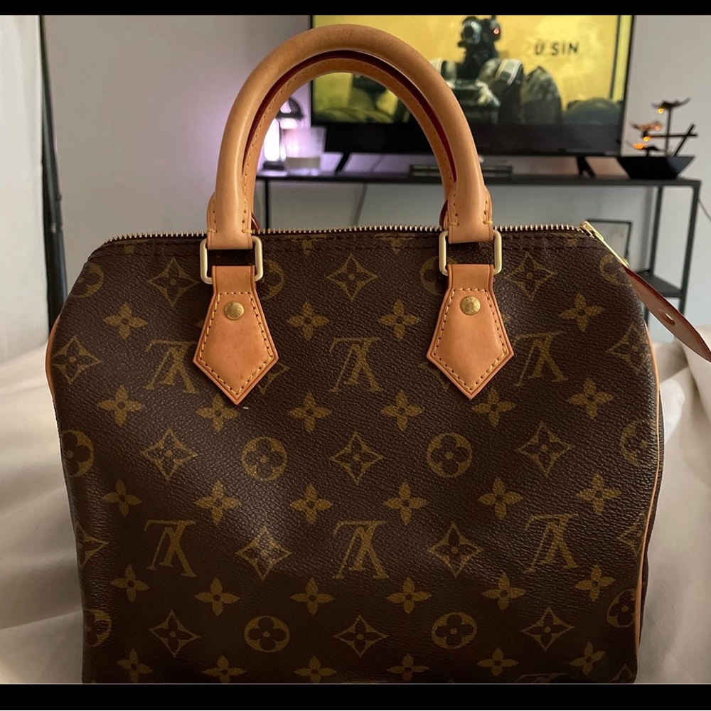 Louis Vuitton Speedy 25 icon bag  monogram